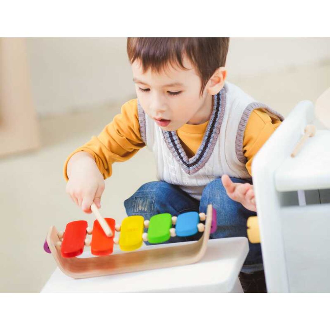 PlanToys Oval Xylophone