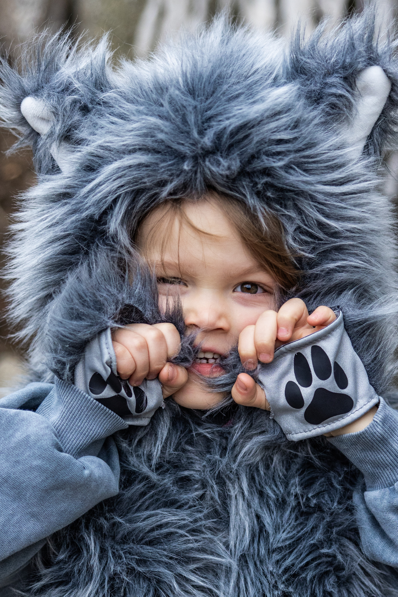 Great Pretenders Big Bad Wolf Vest with Gloves | Playroom Avenue