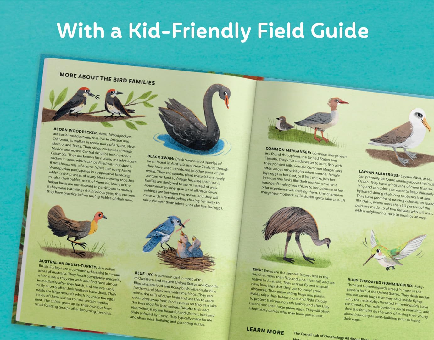 Families of a Feather | Playroom Avenue