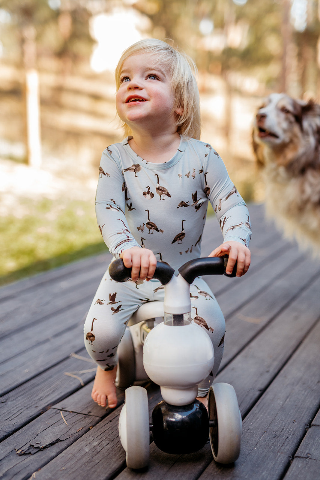 Milkbarn Goose Luxe Stretch Long Sleeve Two Piece Pajama Set | Playroom Avenue