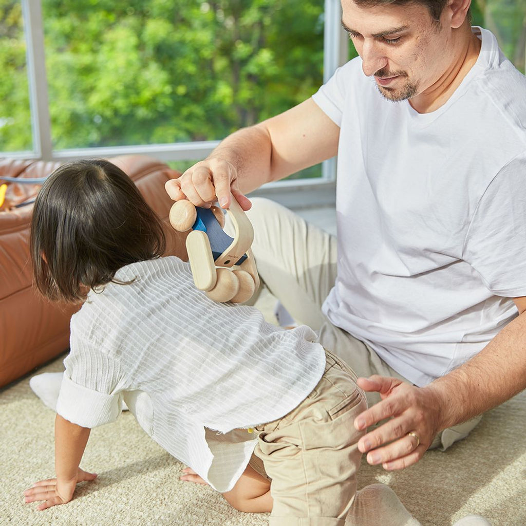 PlanToys Massage Roller | Playroom Avenue