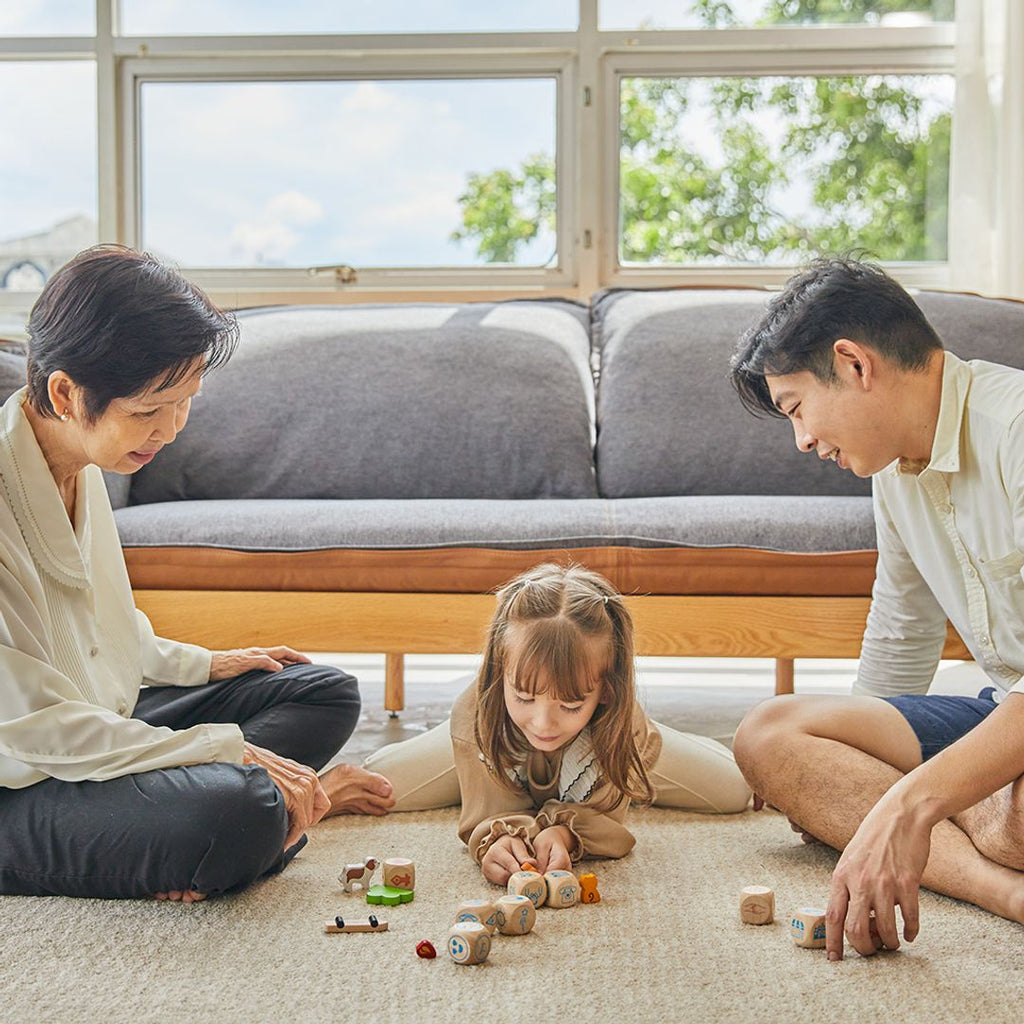 PlanToys Storytelling Dice | Playroom Avenue