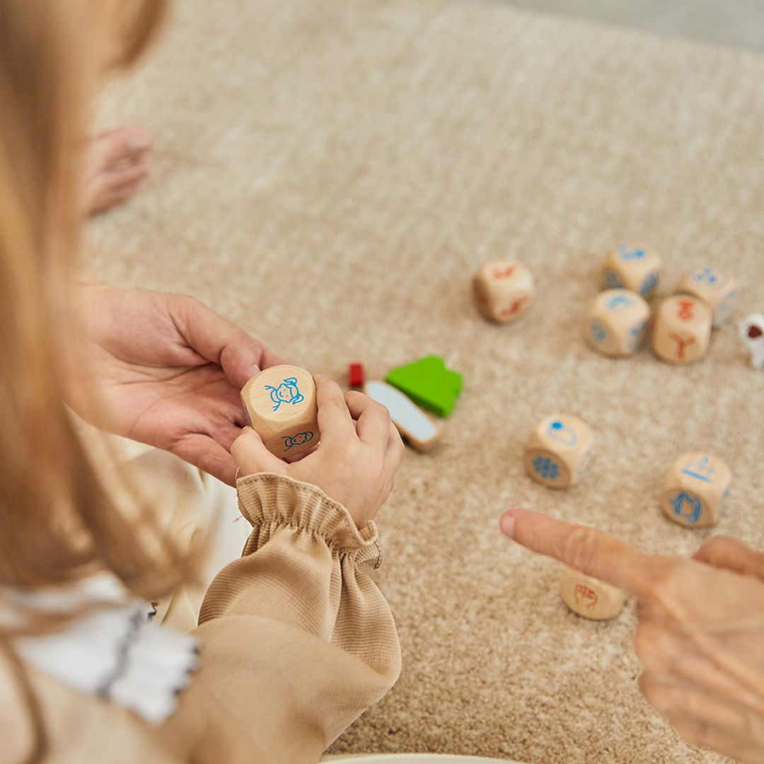 PlanToys Storytelling Dice | Playroom Avenue