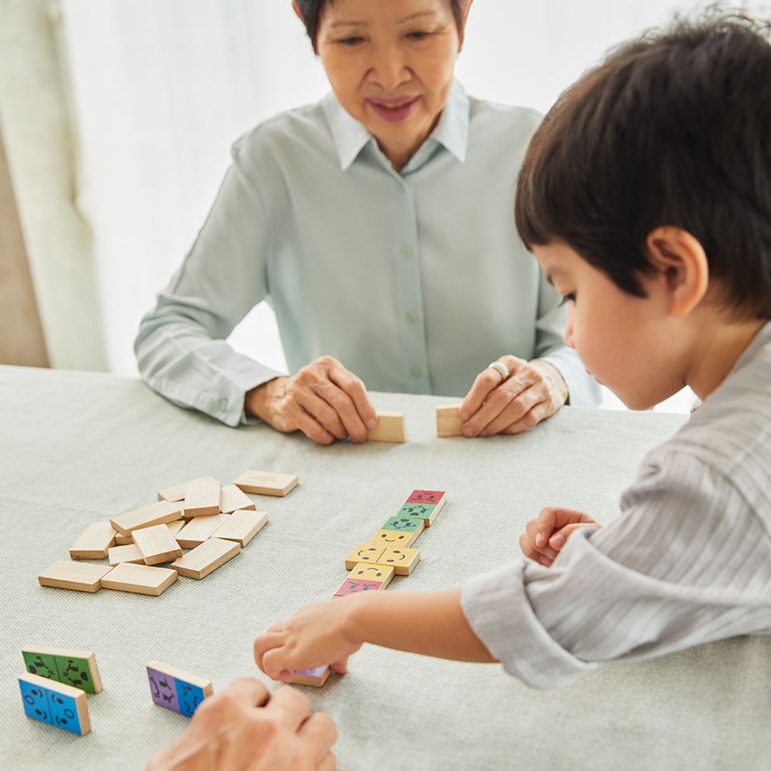 PlanToys Mood Dominos | Playroom Avenue