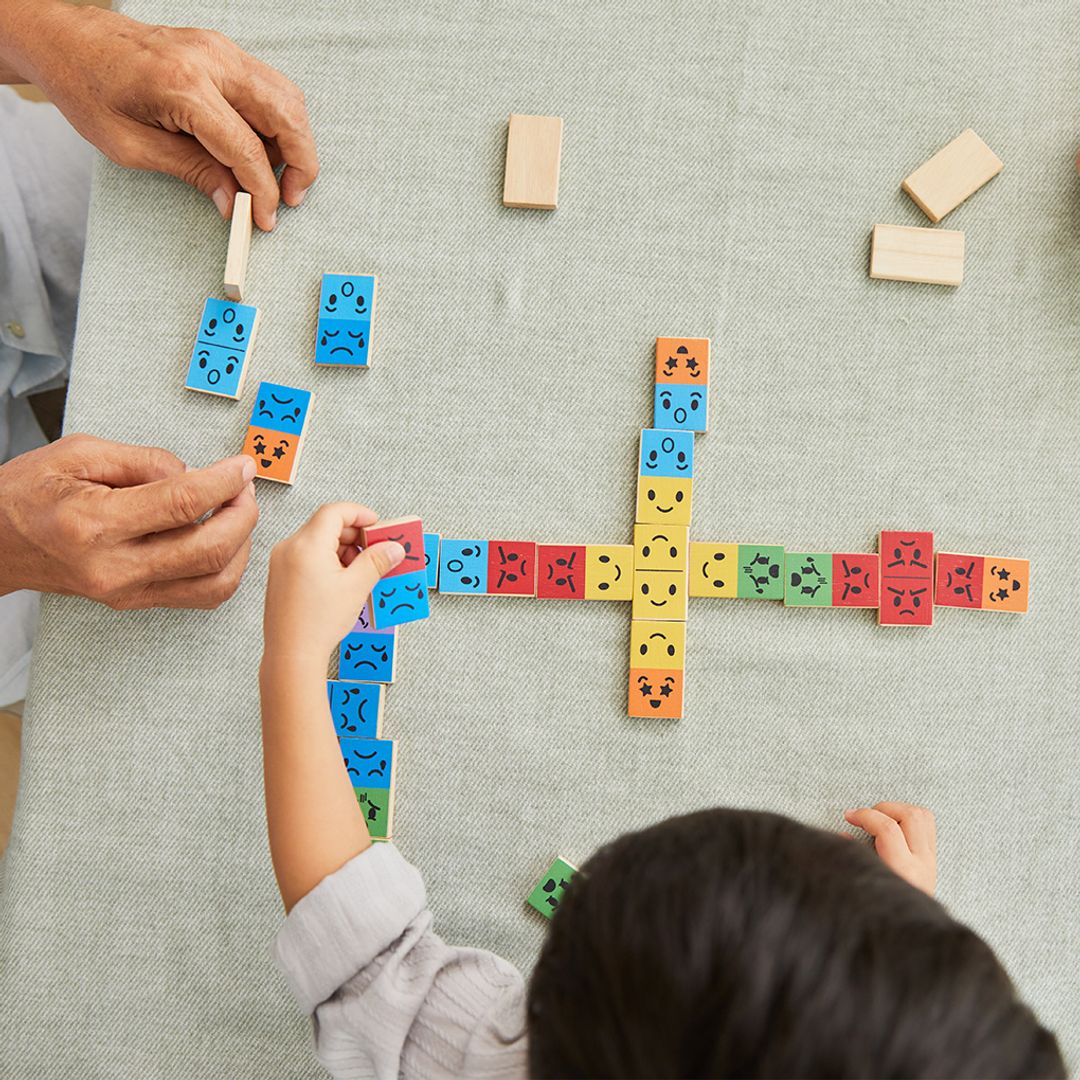 PlanToys Mood Dominos | Playroom Avenue