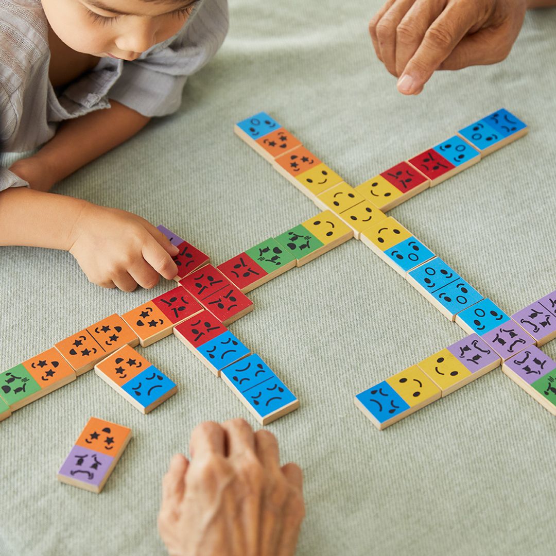 PlanToys Mood Dominos | Playroom Avenue