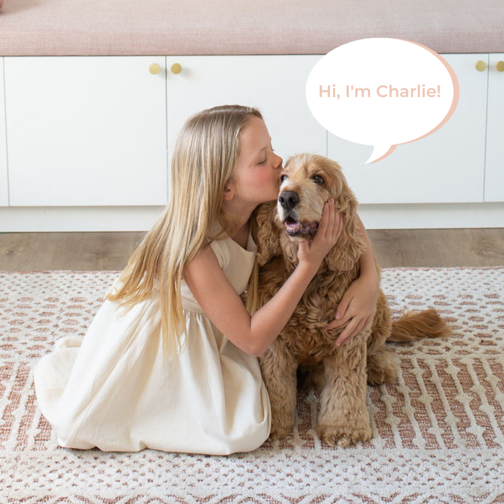 Mindful And Co Charlie The Weighted Puppy Dog | Playroom Avenue