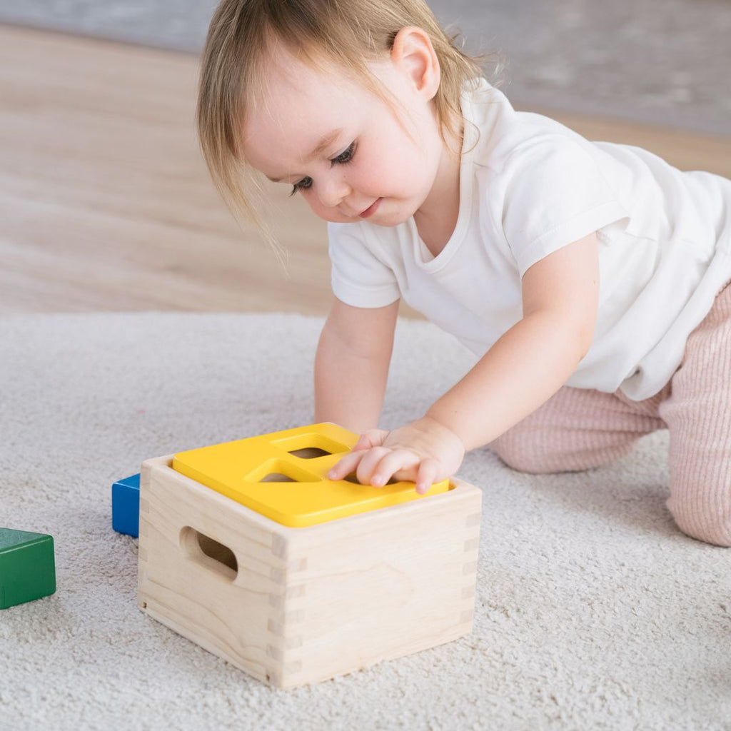 PlanToys Shape & Sort It Out | Playroom Avenue