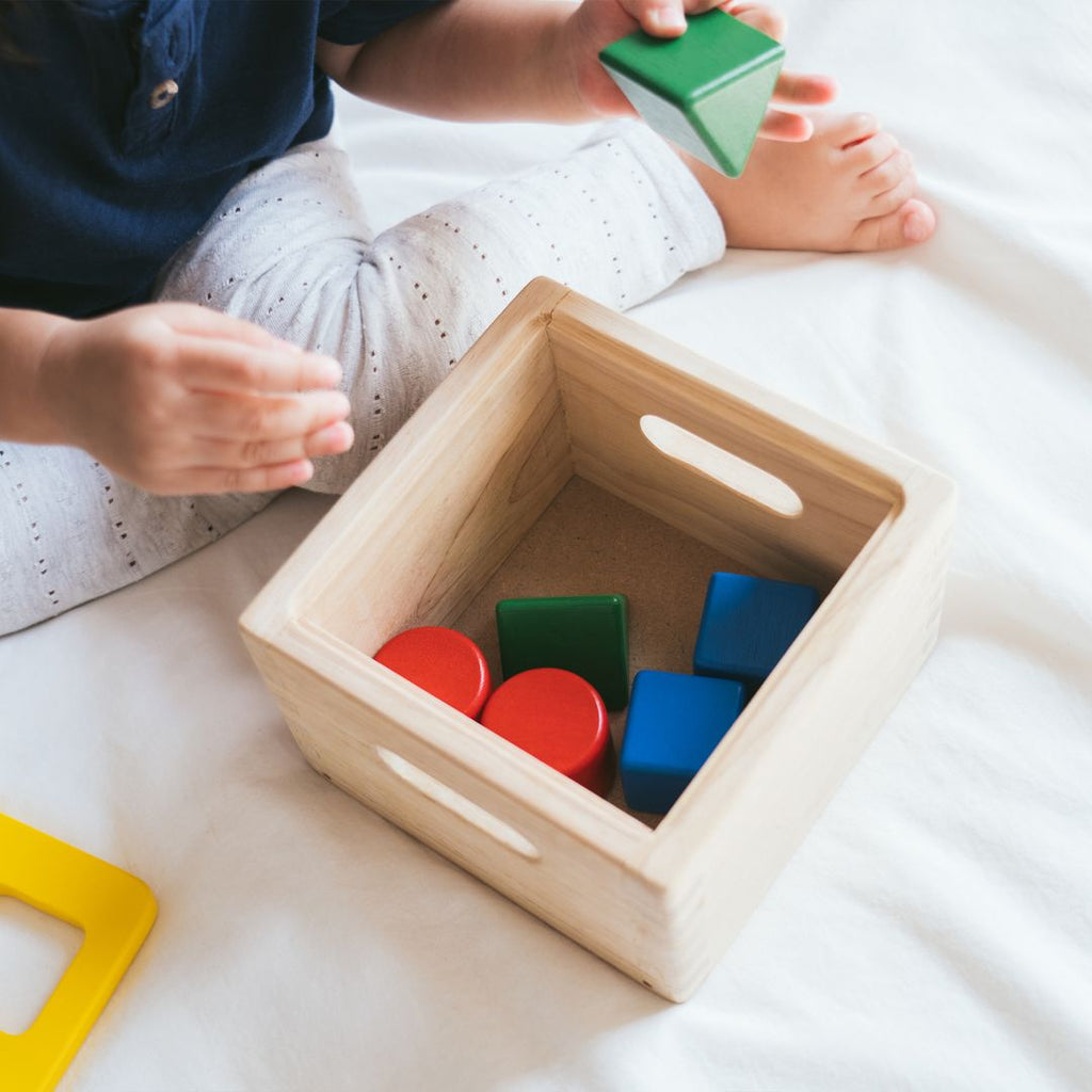 PlanToys Shape & Sort It Out | Playroom Avenue