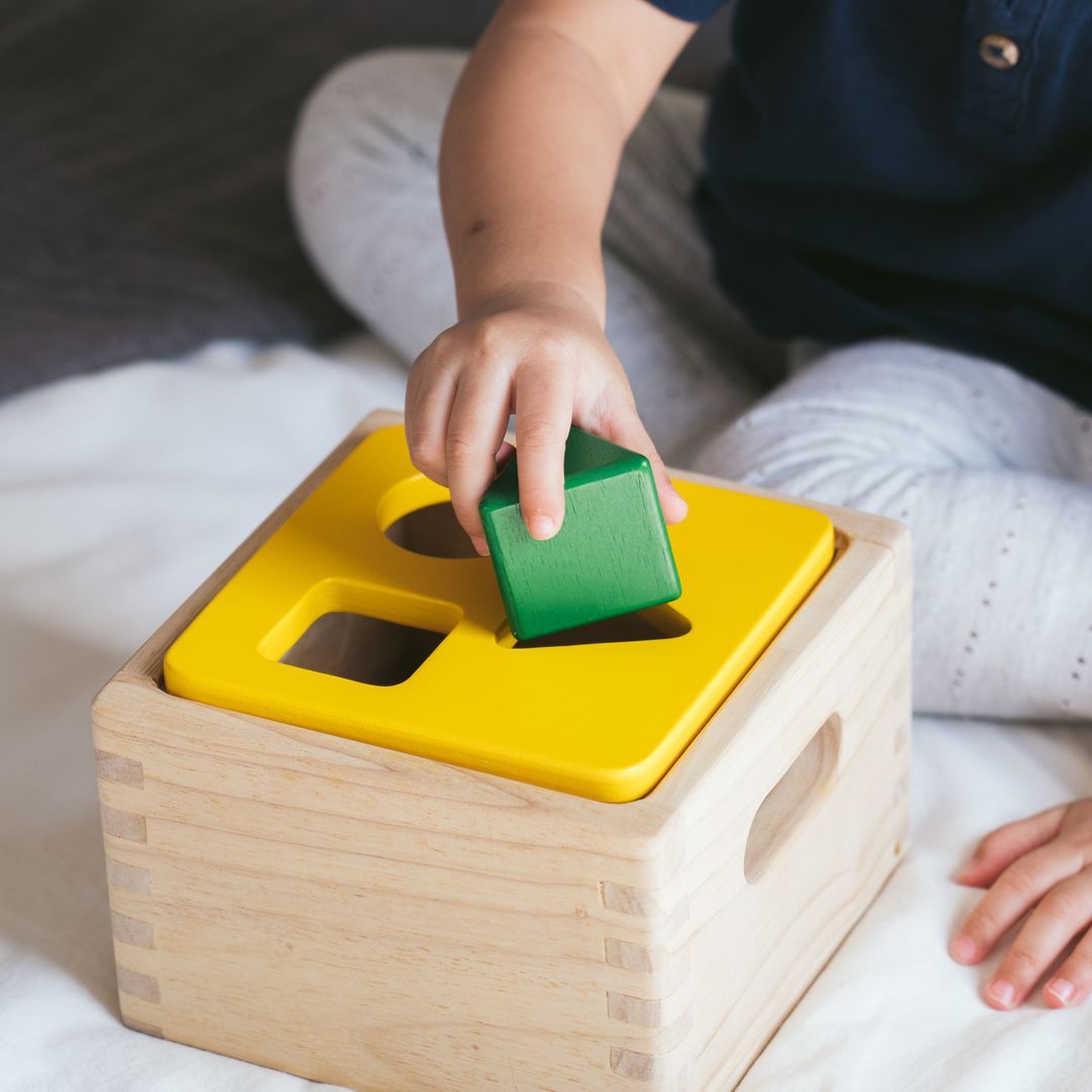 PlanToys Shape & Sort It Out | Playroom Avenue