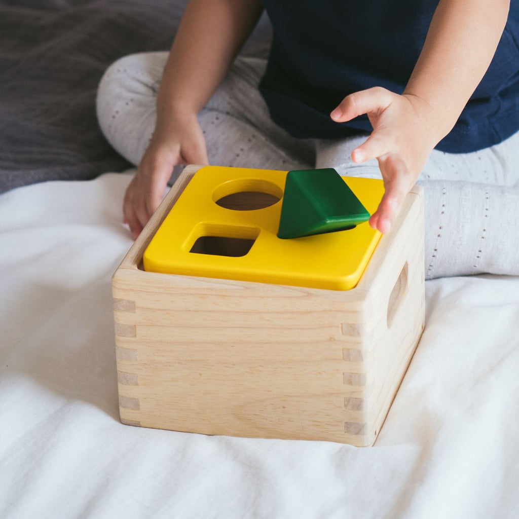 PlanToys Shape & Sort It Out | Playroom Avenue