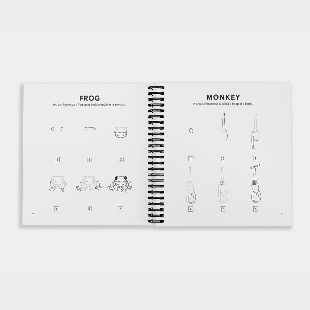 How to Draw All the Animals (Spiral) | Playroom Avenue
