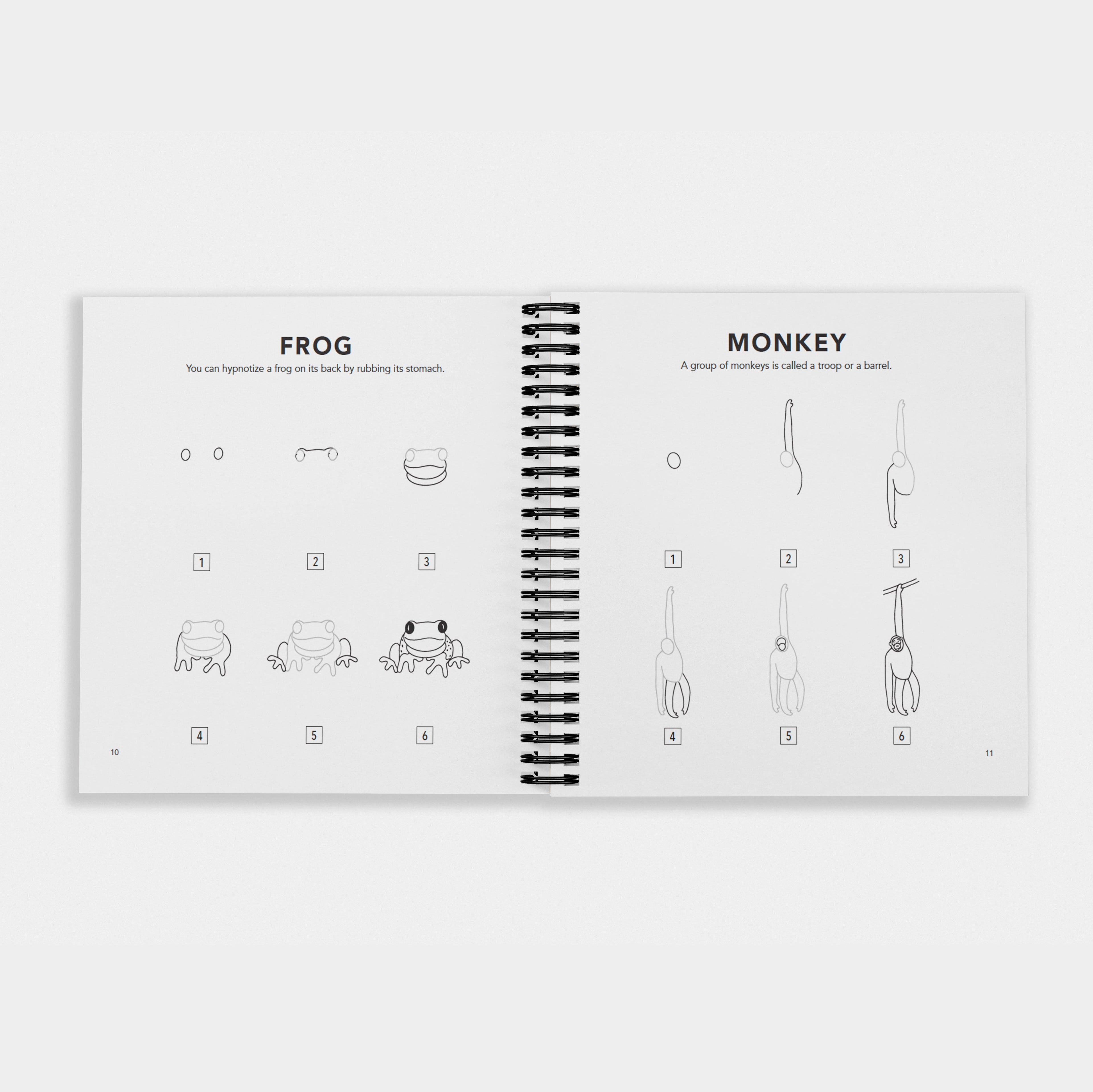 How to Draw All the Animals (Spiral) | Playroom Avenue