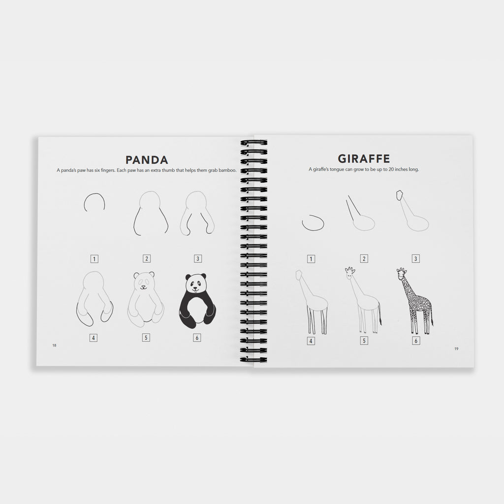 How to Draw All the Animals (Spiral) | Playroom Avenue