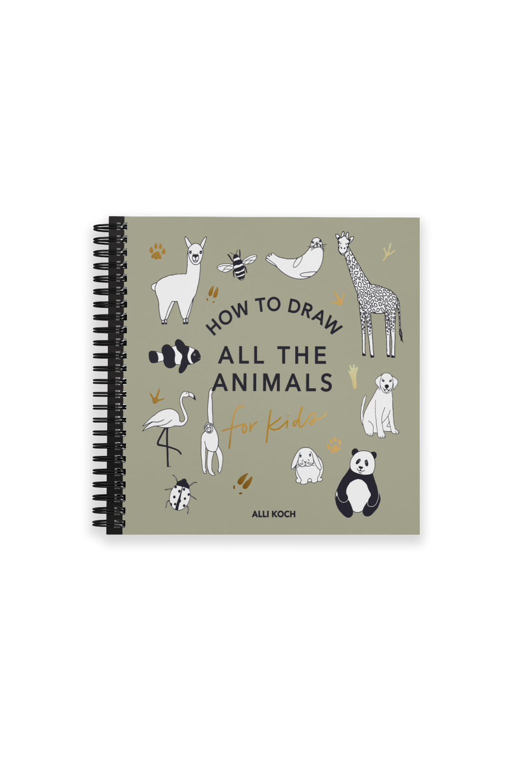 How to Draw All the Animals (Spiral) | Playroom Avenue