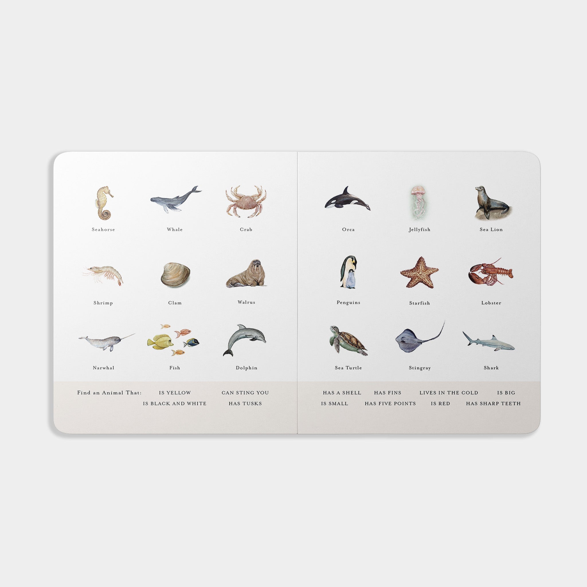 Our Little Library Vol. 2 | Playroom Avenue