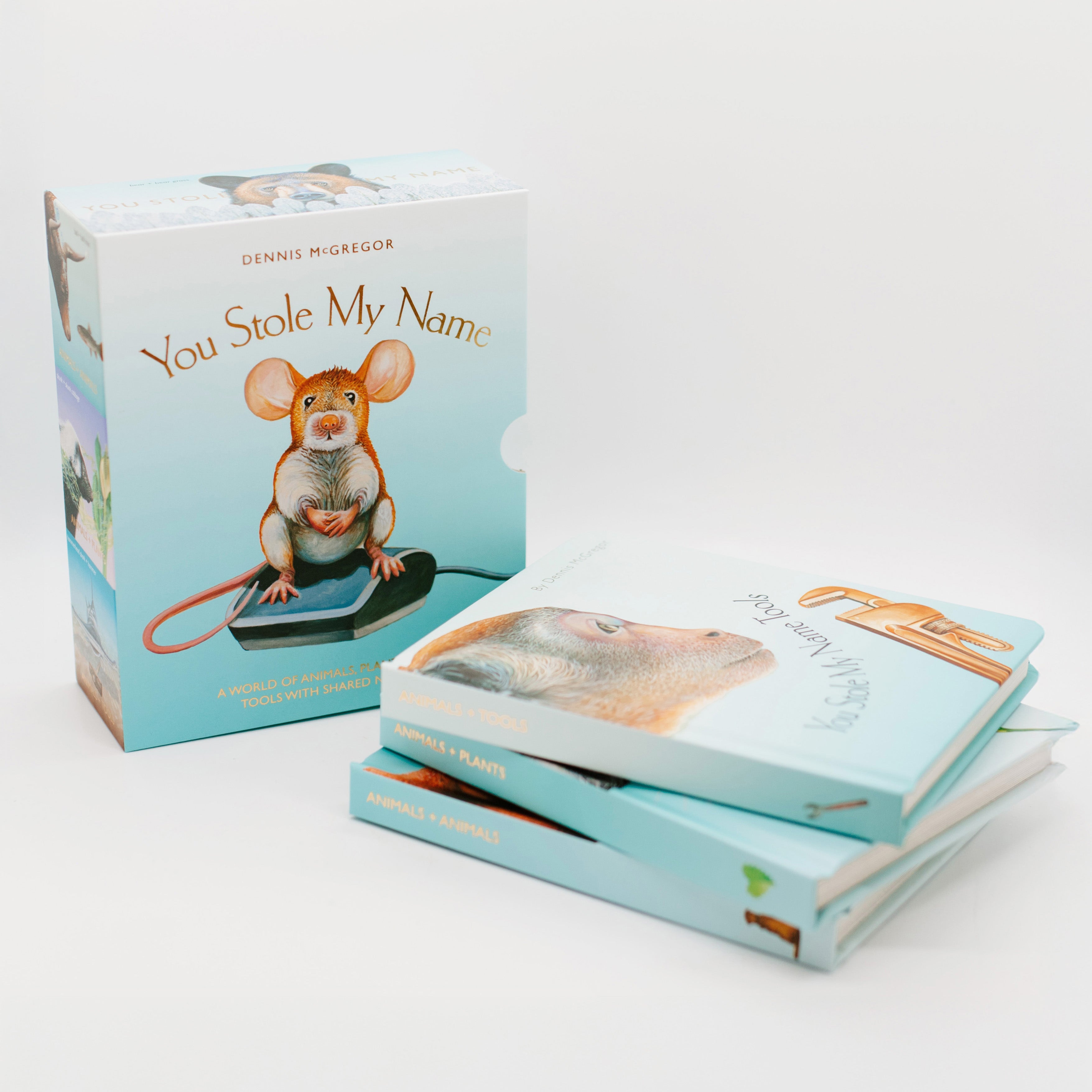 You Stole My Name Board Book Box Set | Playroom Avenue