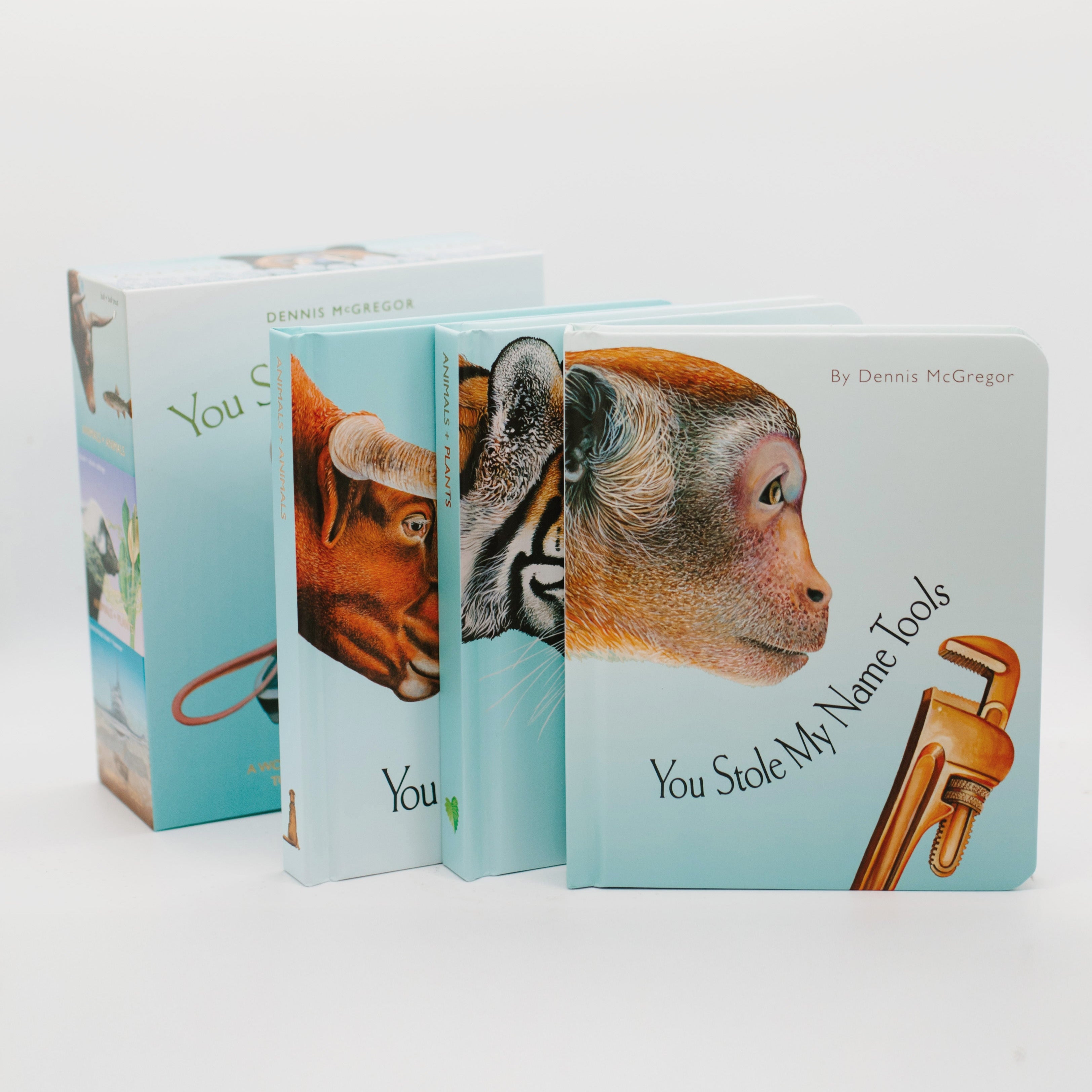 You Stole My Name Board Book Box Set | Playroom Avenue