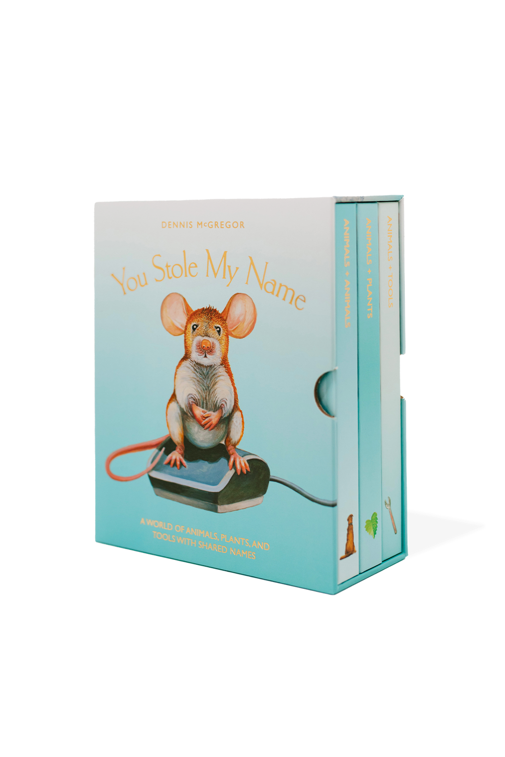 You Stole My Name Board Book Box Set | Playroom Avenue