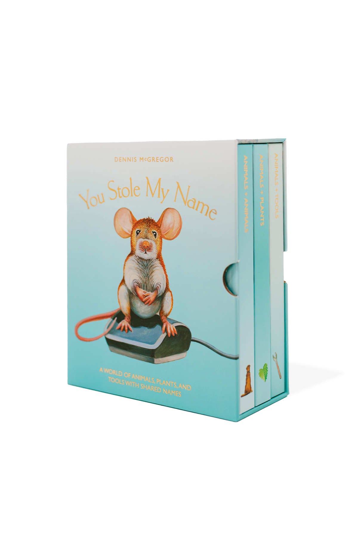 You Stole My Name Board Book Box Set | Playroom Avenue