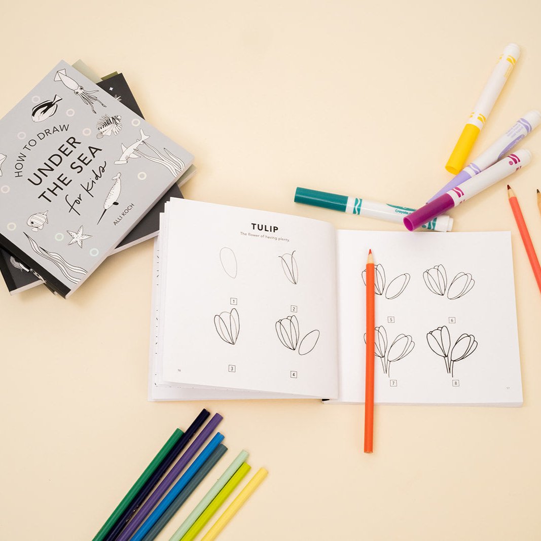 How to Draw So Many Things [mini box set] | Playroom Avenue