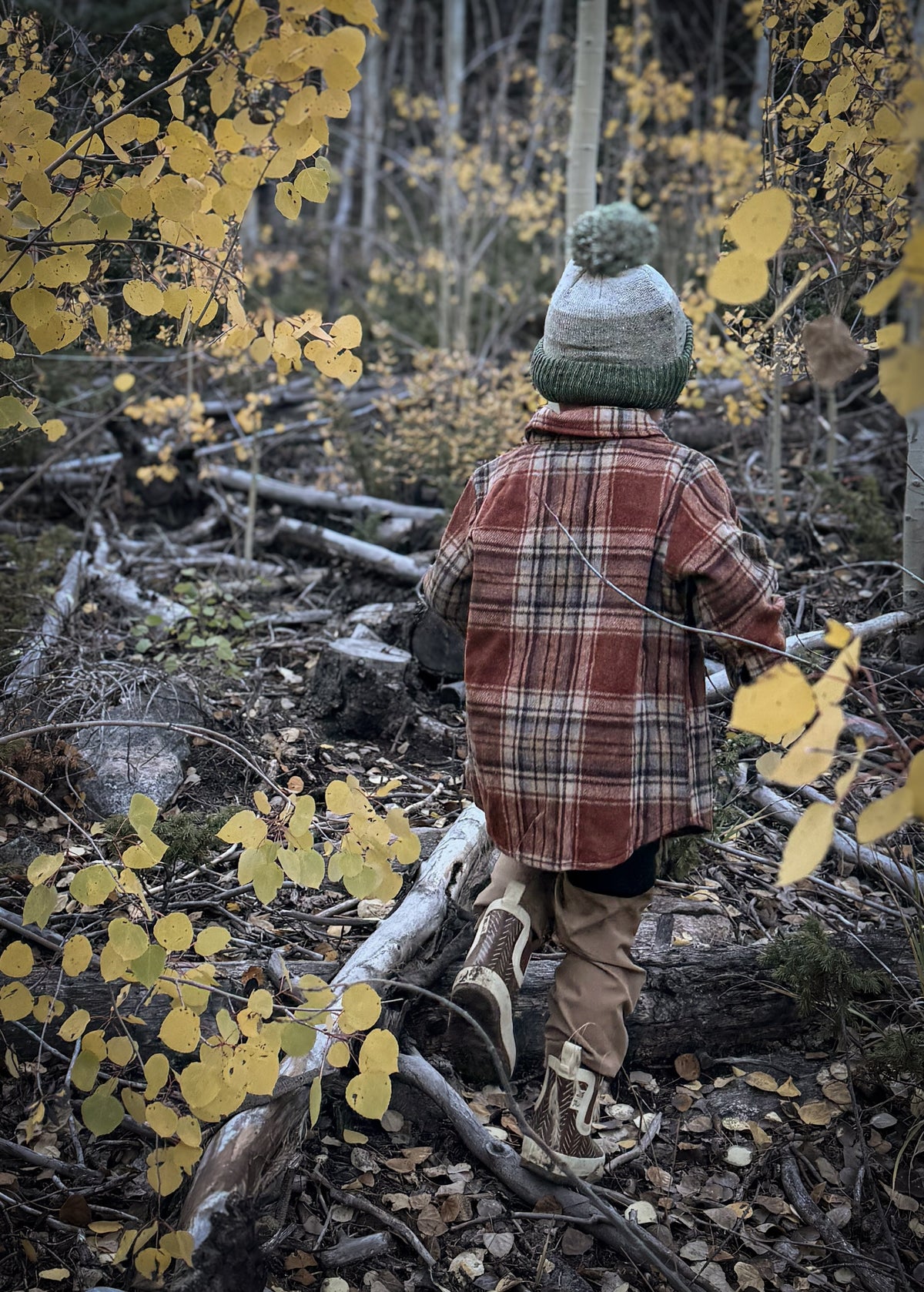 Keep the Littles Wild Fall flannel | Playroom Avenue