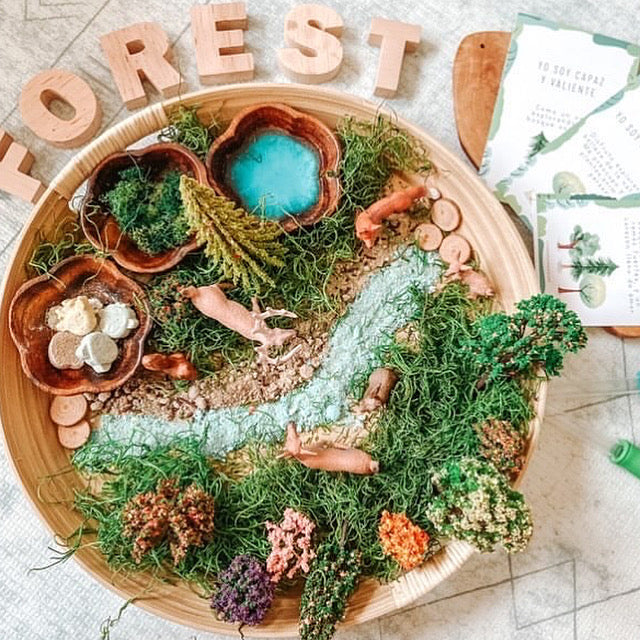 Little Hands and Nature Wild Forest Potion Kit | Playroom Avenue