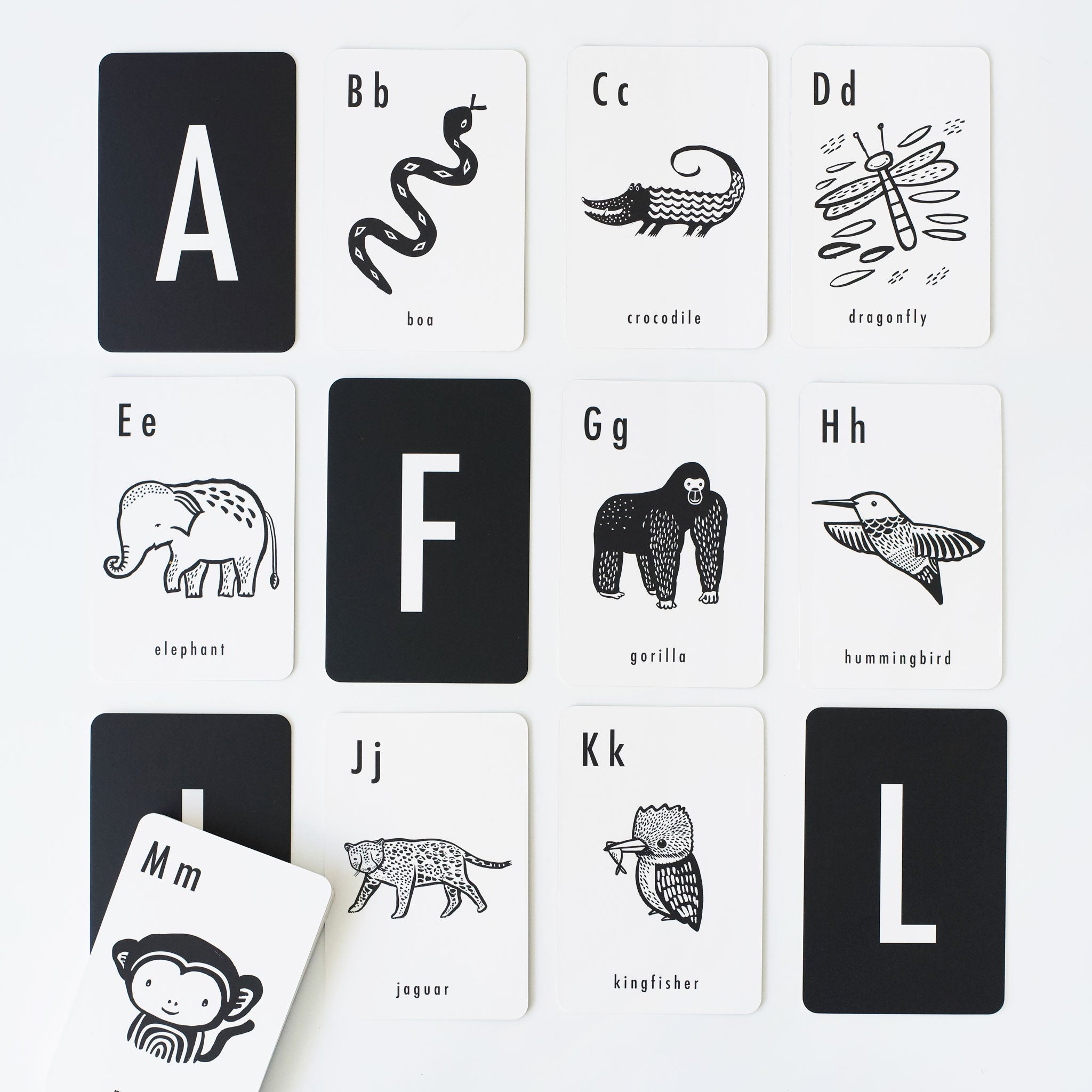 Wee Gallery Jungle Alphabet Cards | Playroom Avenue