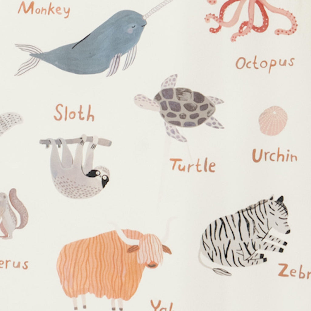 Illustrations of various animals with labels on a light background