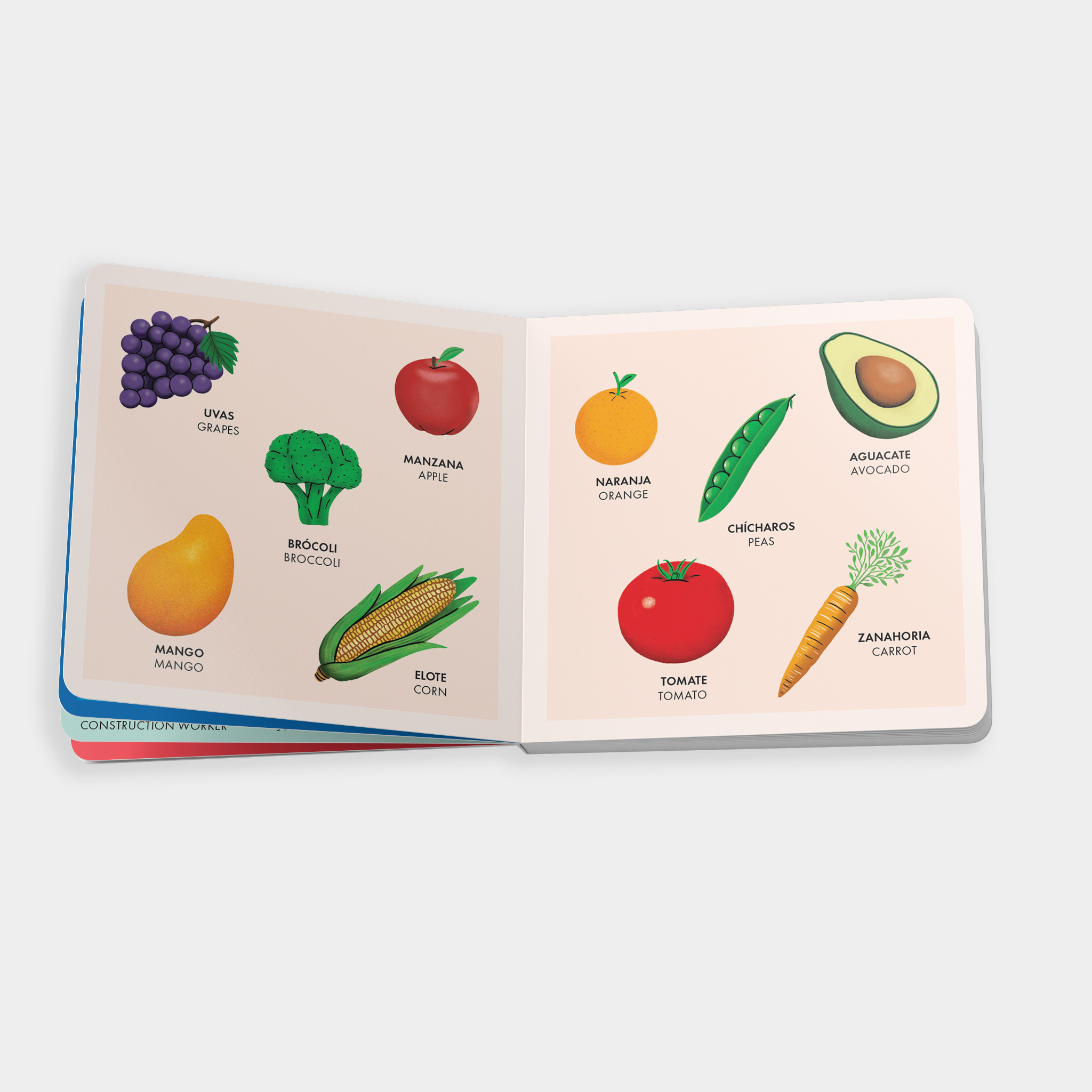 My Big Bilingual Book of First Words | Playroom Avenue