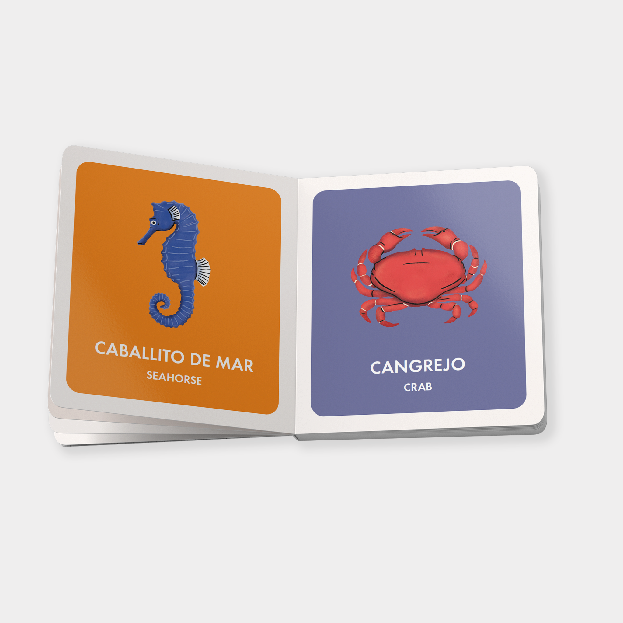 My First Bilingual Library | Playroom Avenue