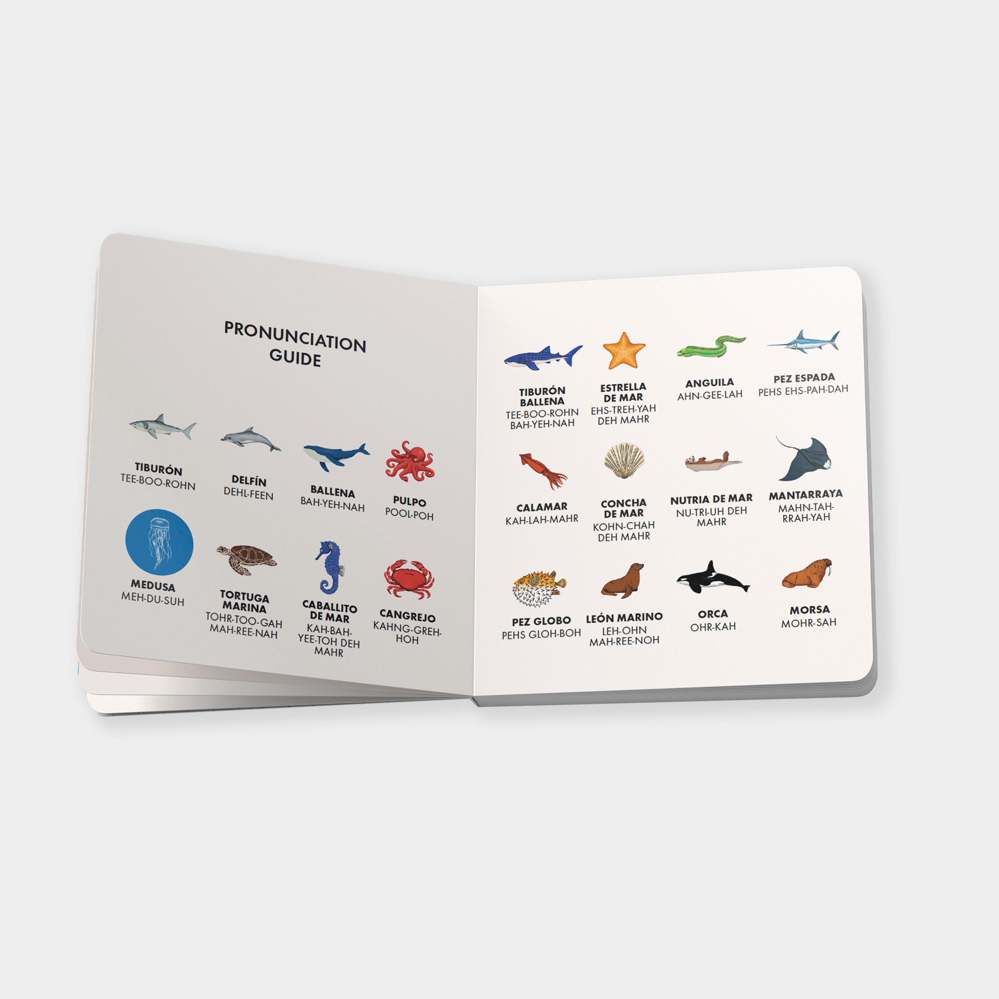 My First Bilingual Library | Playroom Avenue