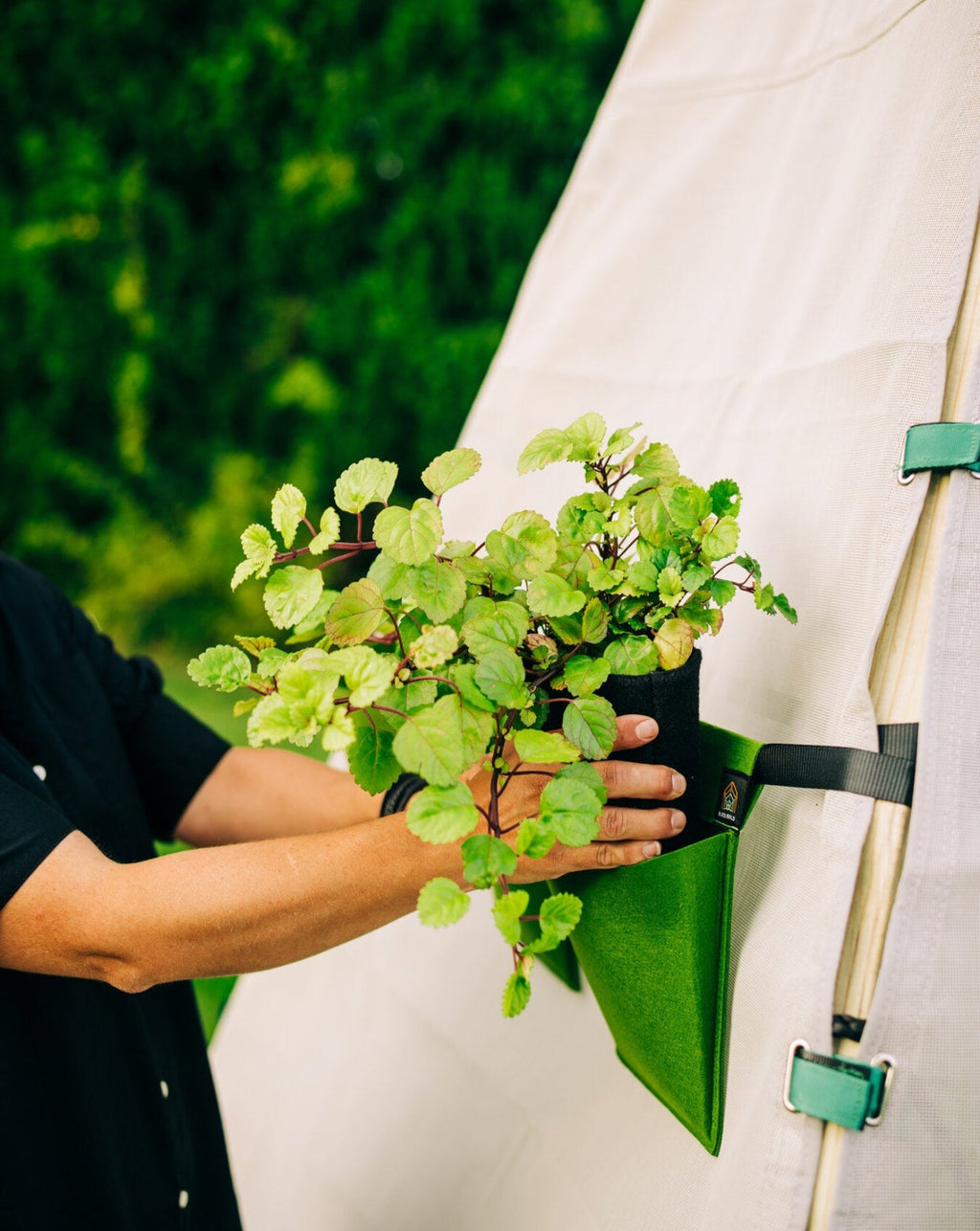 Bijou Bloom Hanging Planters | Playroom Avenue
