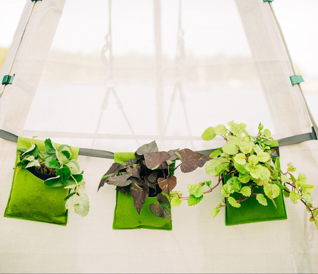 Bijou Bloom Hanging Planters | Playroom Avenue
