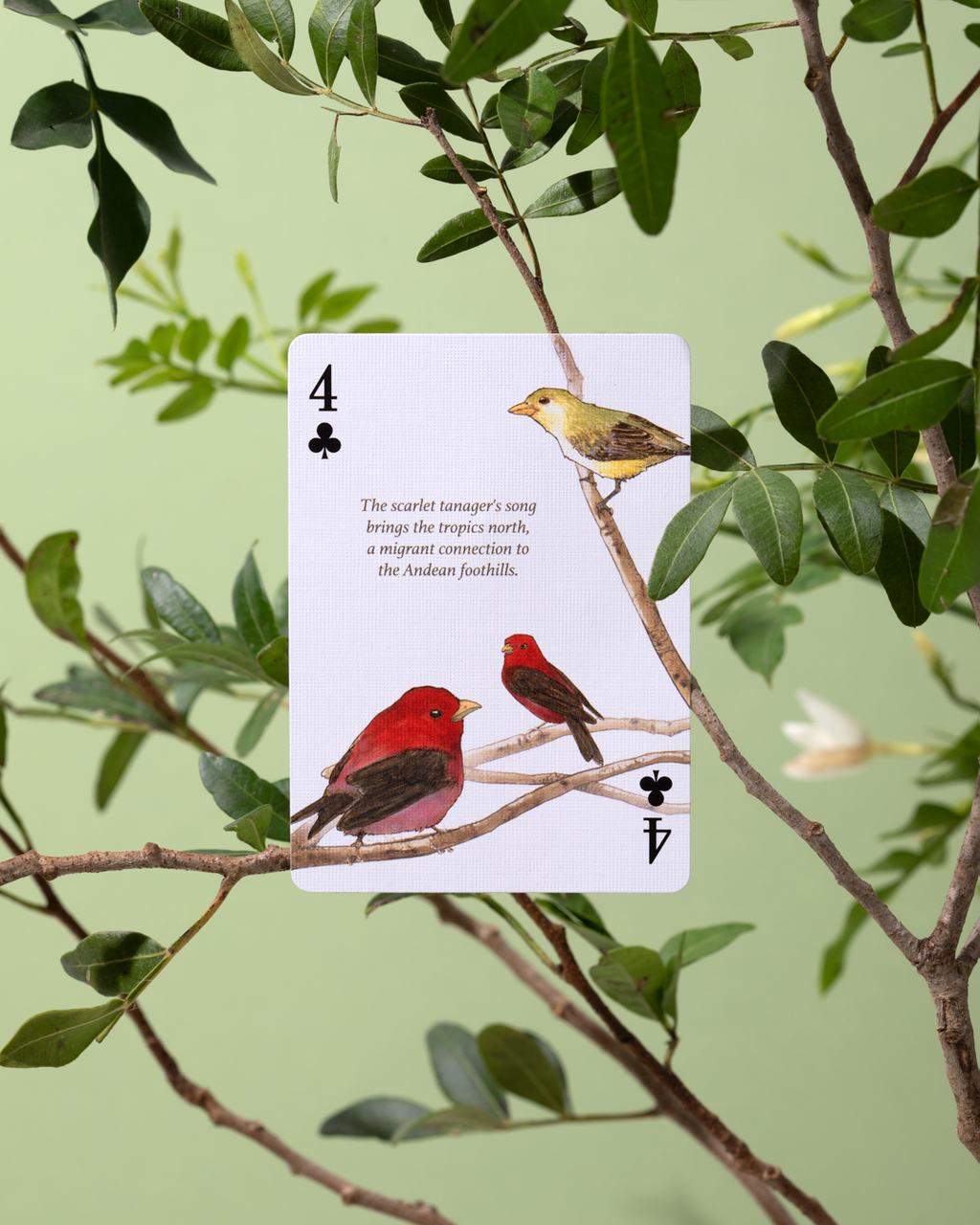 Art of Play Eastern Forest Playing Cards