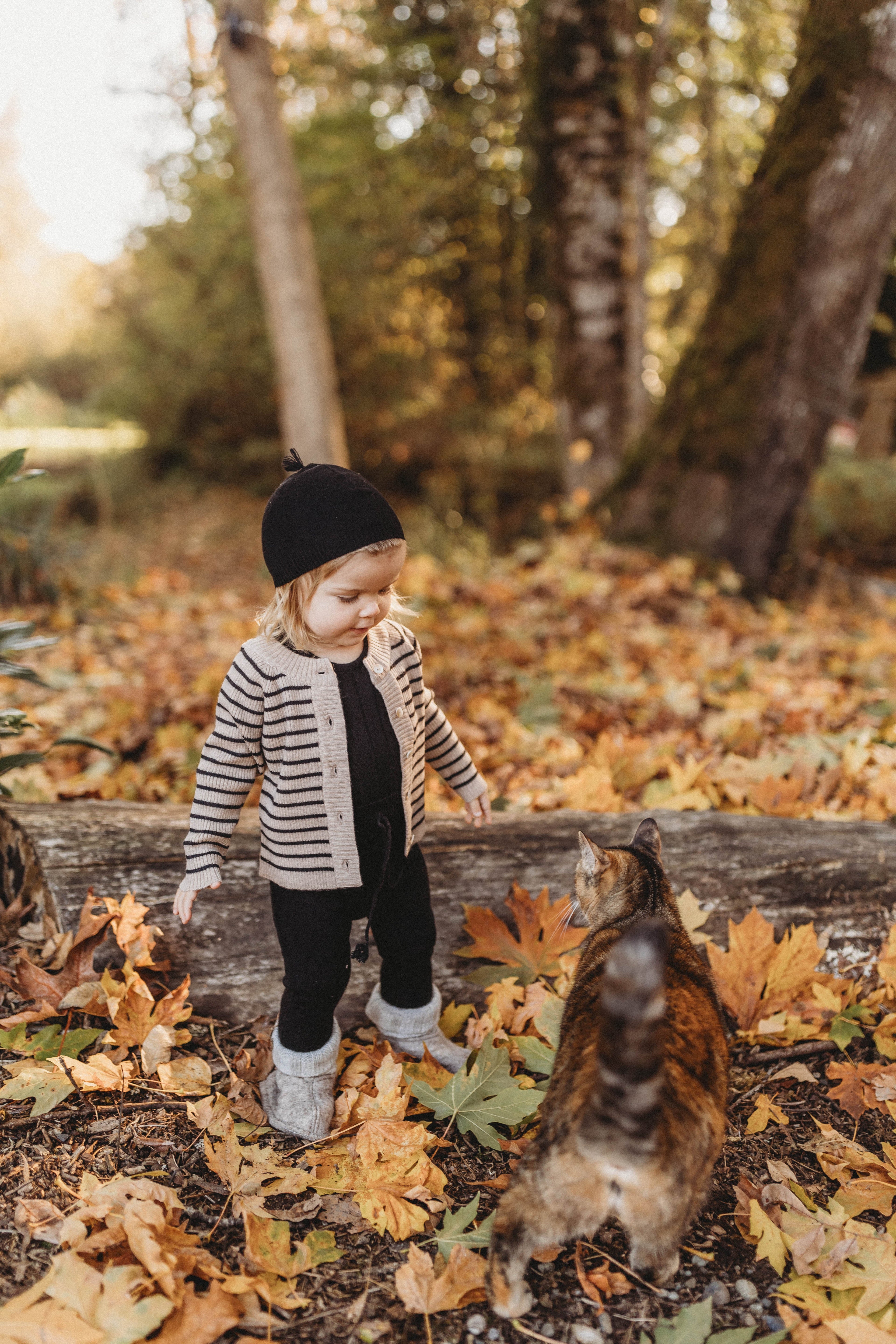 La Petit Lapin Cashmere Cardigan | Black/Beige | Playroom Avenue