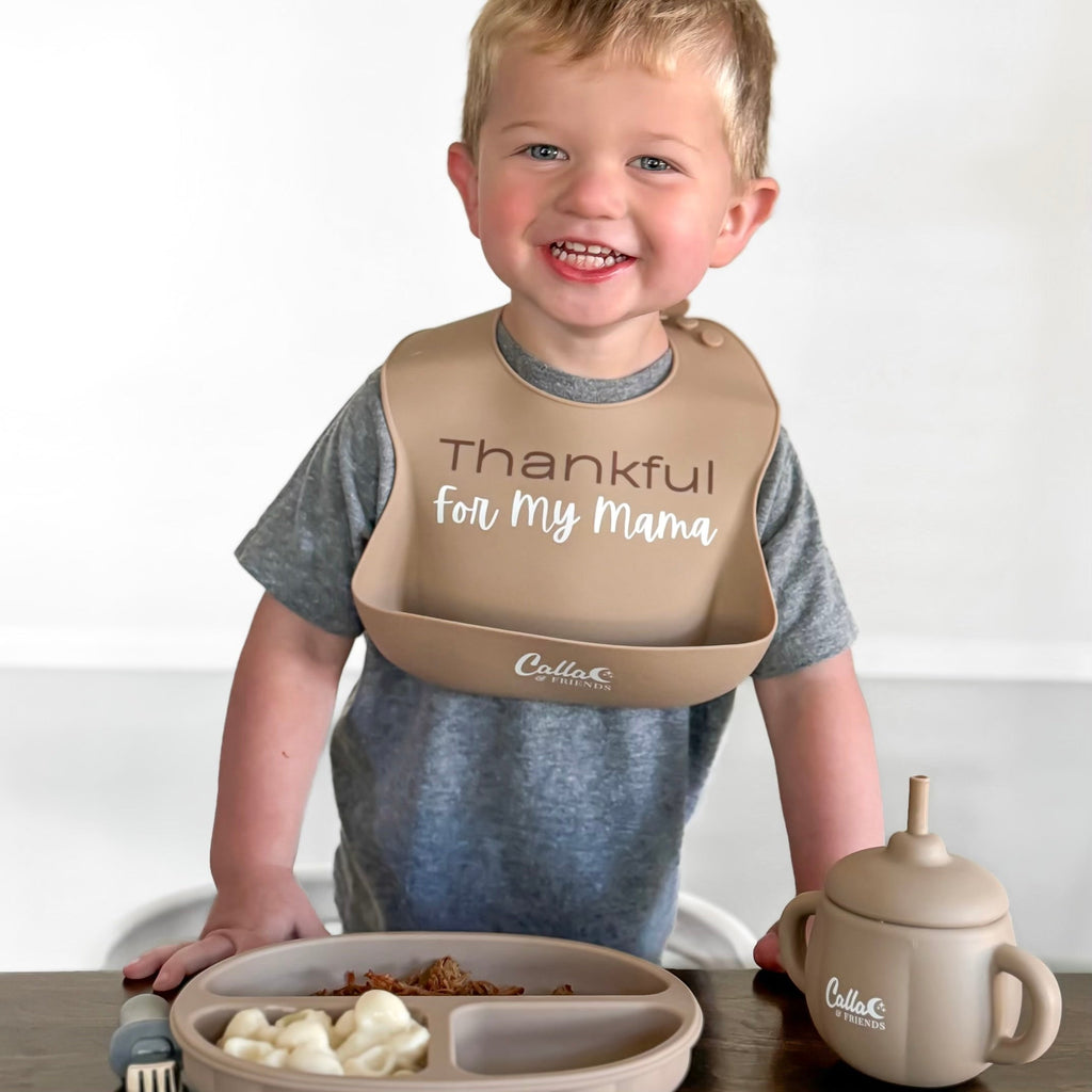 Little Turkey Collection Catch All Bib Thankful | Playroom Avenue