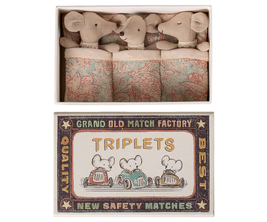 Triplets, Baby mice in matchbox | Playroom Avenue