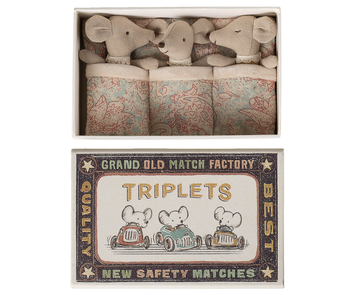 Triplets, Baby mice in matchbox | Playroom Avenue