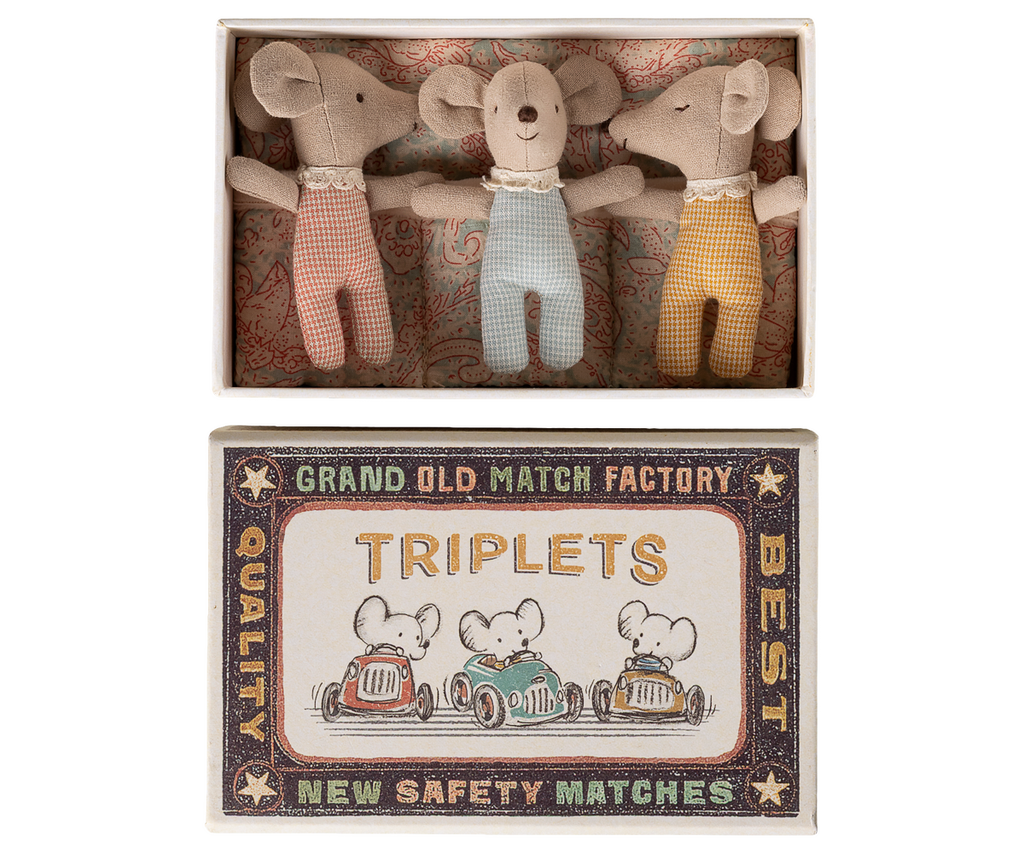 Triplets, Baby mice in matchbox | Playroom Avenue
