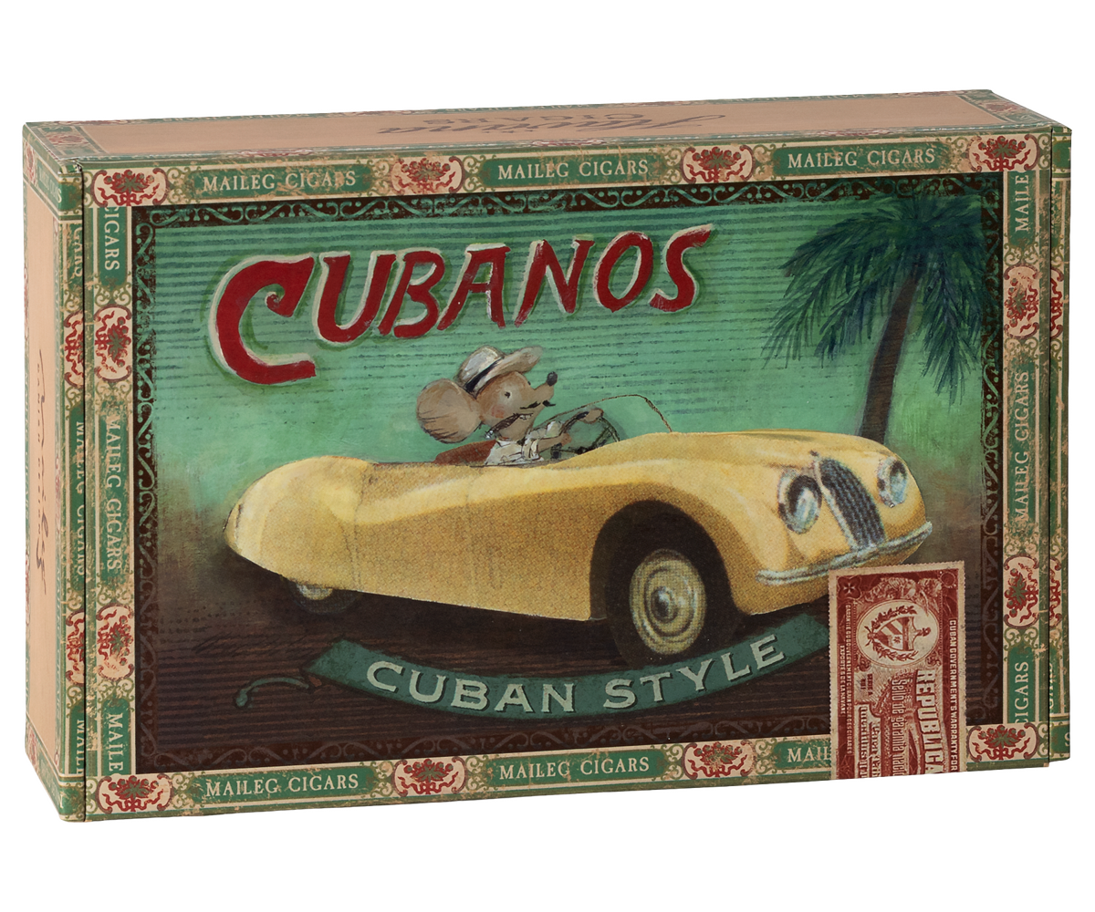 Grandma and grandpa mice in cigarbox | Playroom Avenue