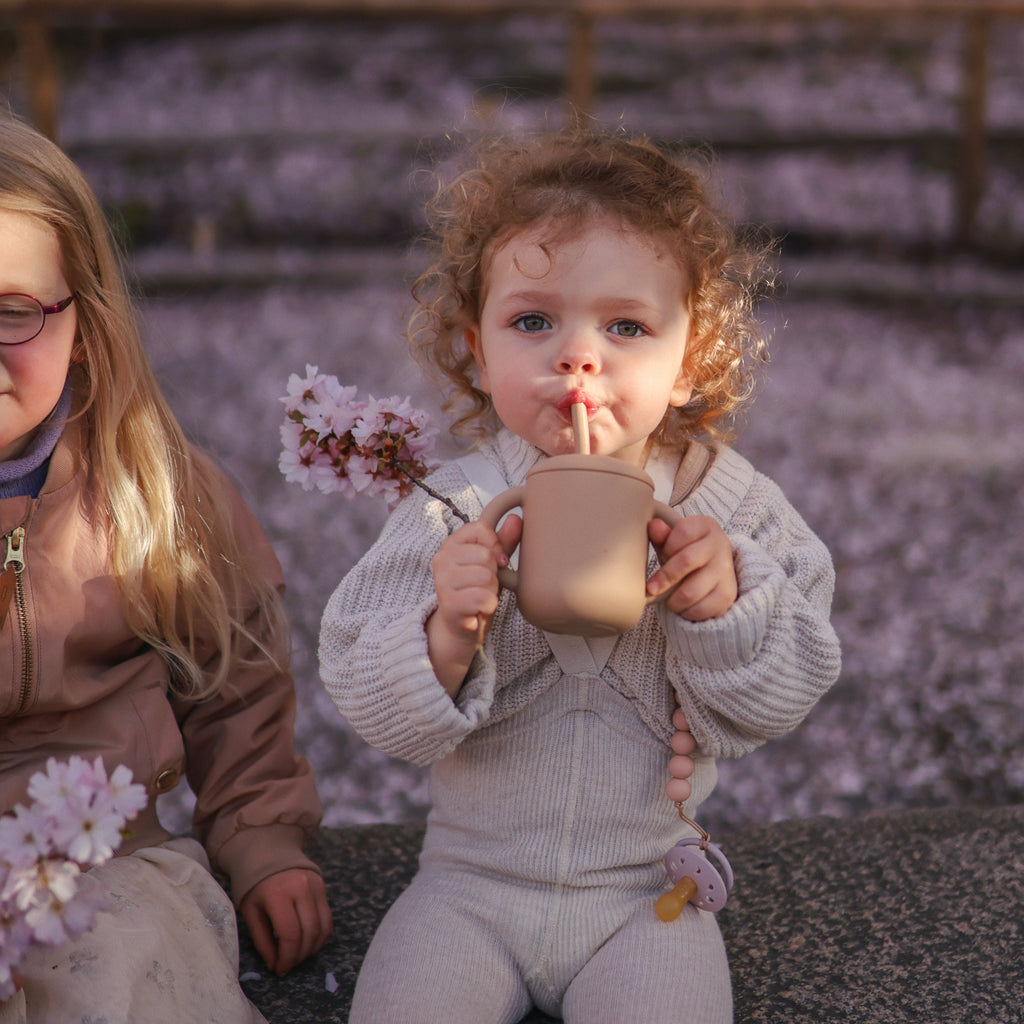 Mushie Silicone Pacifier Clip | Hera | Playroom Avenue