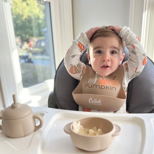 Little Turkey Collection Catch All Bib | Playroom Avenue