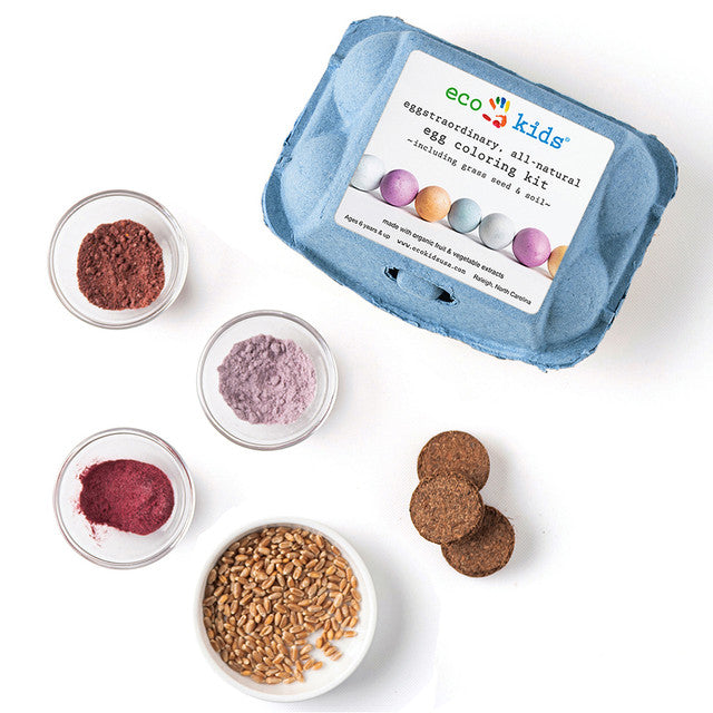 Eco-Kids Egg Coloring & Seed Growing Kit – DIY Craft | Playroom Avenue