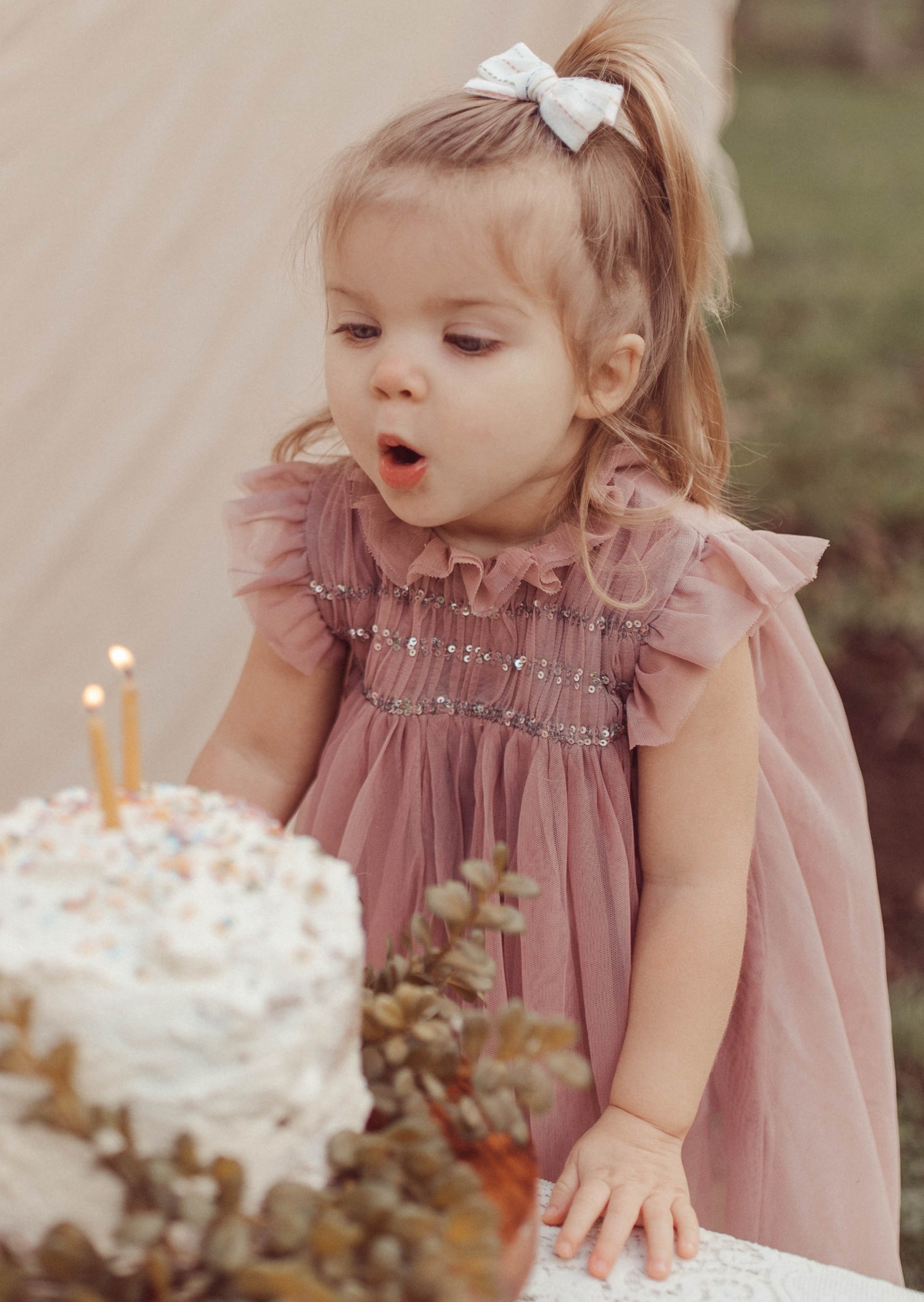 Le Petit Lapin Scarlett | Cotton Tulle Dress | Tosca | Playroom Avenue