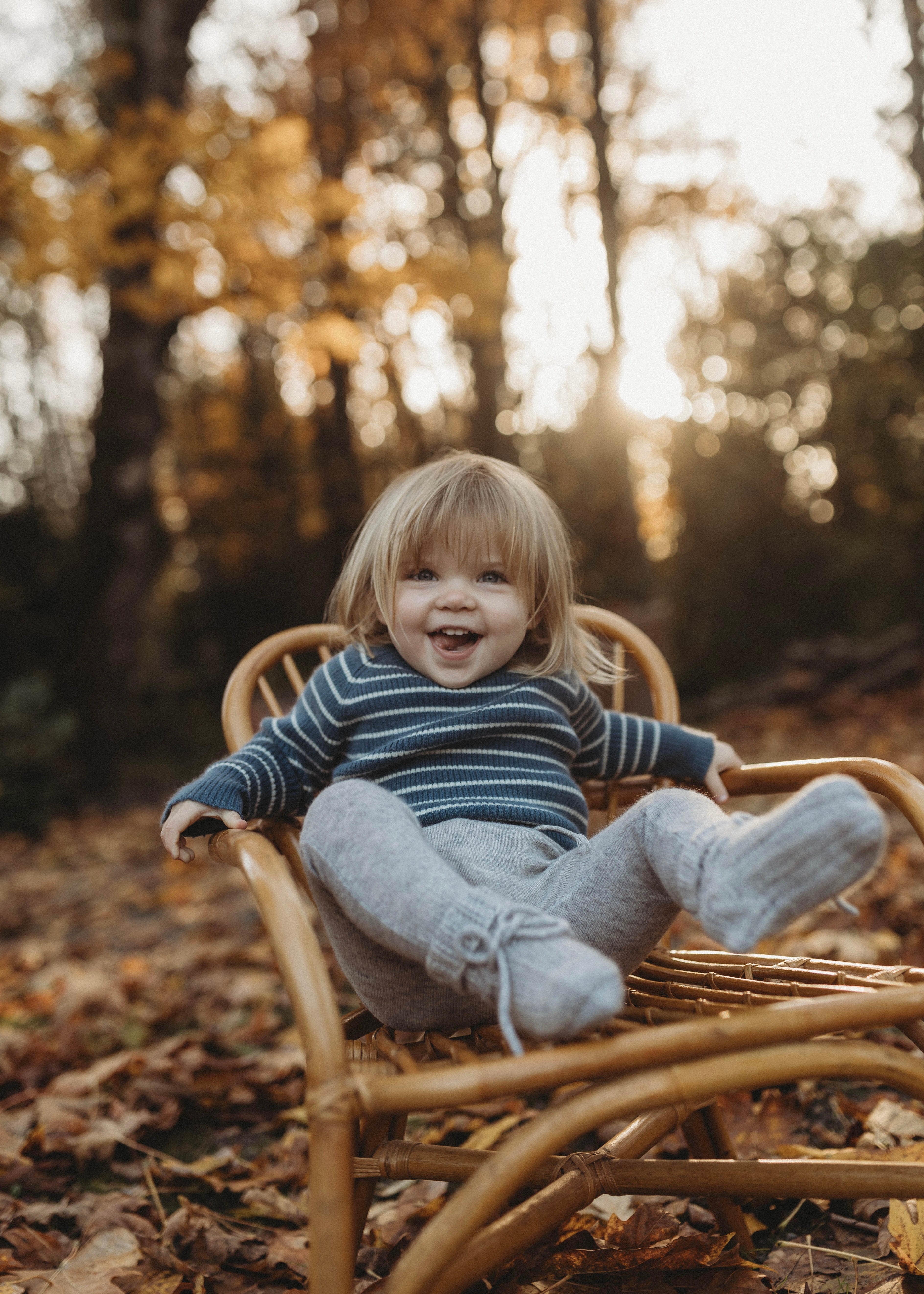 La Petit Lapin Cashmere Sweater | Navy/Creme | Playroom Avenue