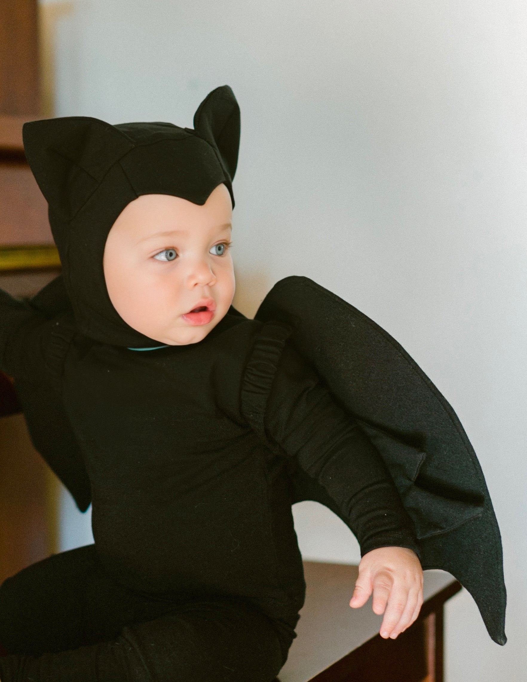 Band of the Wild Black Bat Costume