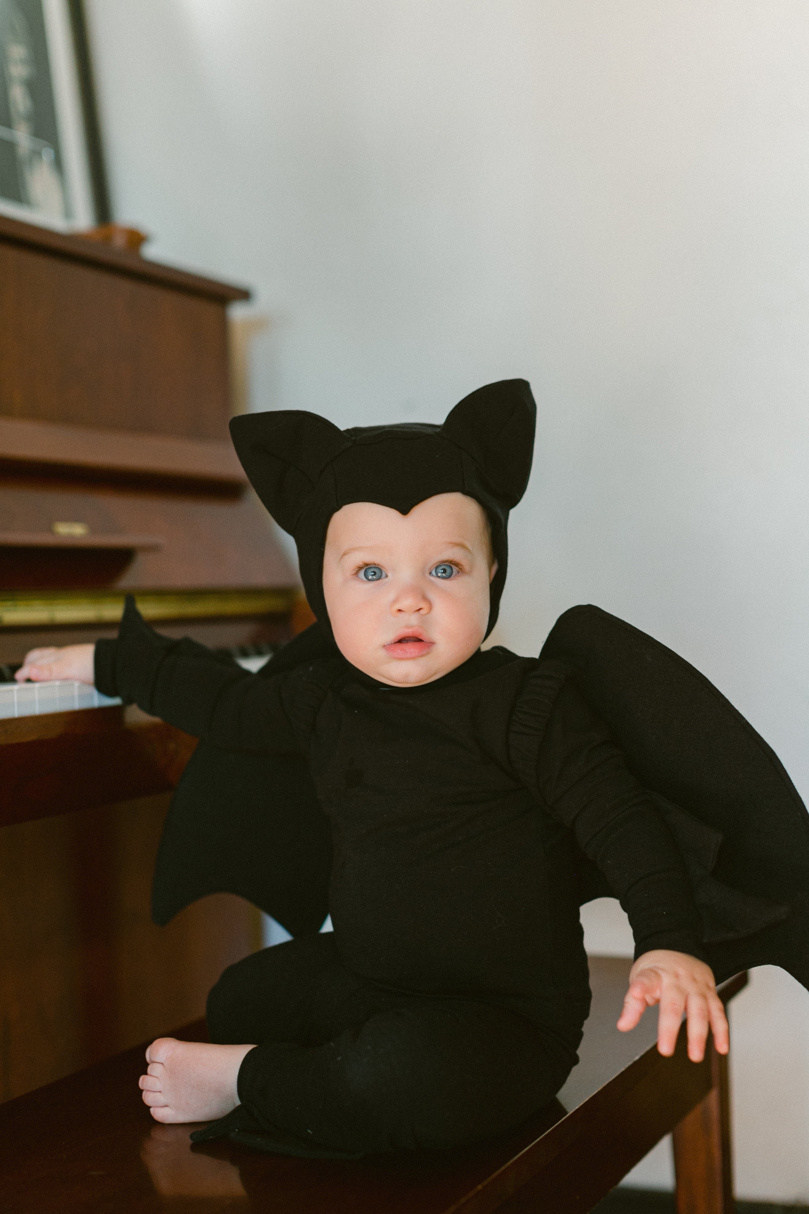 Band of the Wild Black Bat Costume