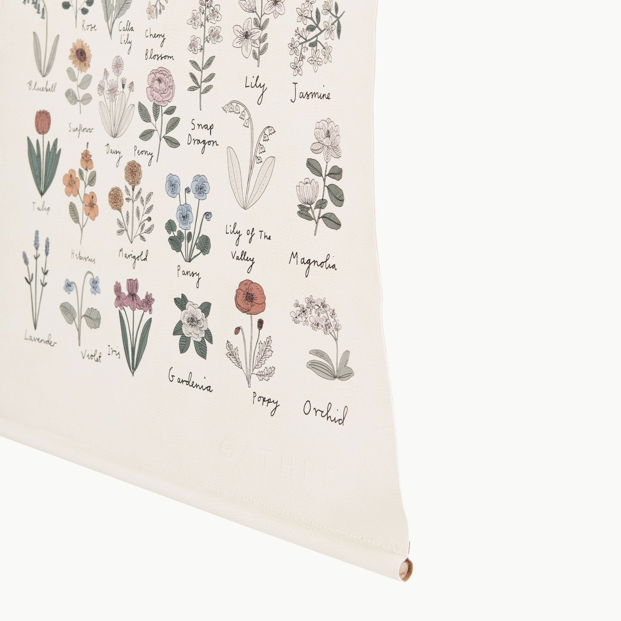 Roll of wallpaper with floral illustrations and names on a white background