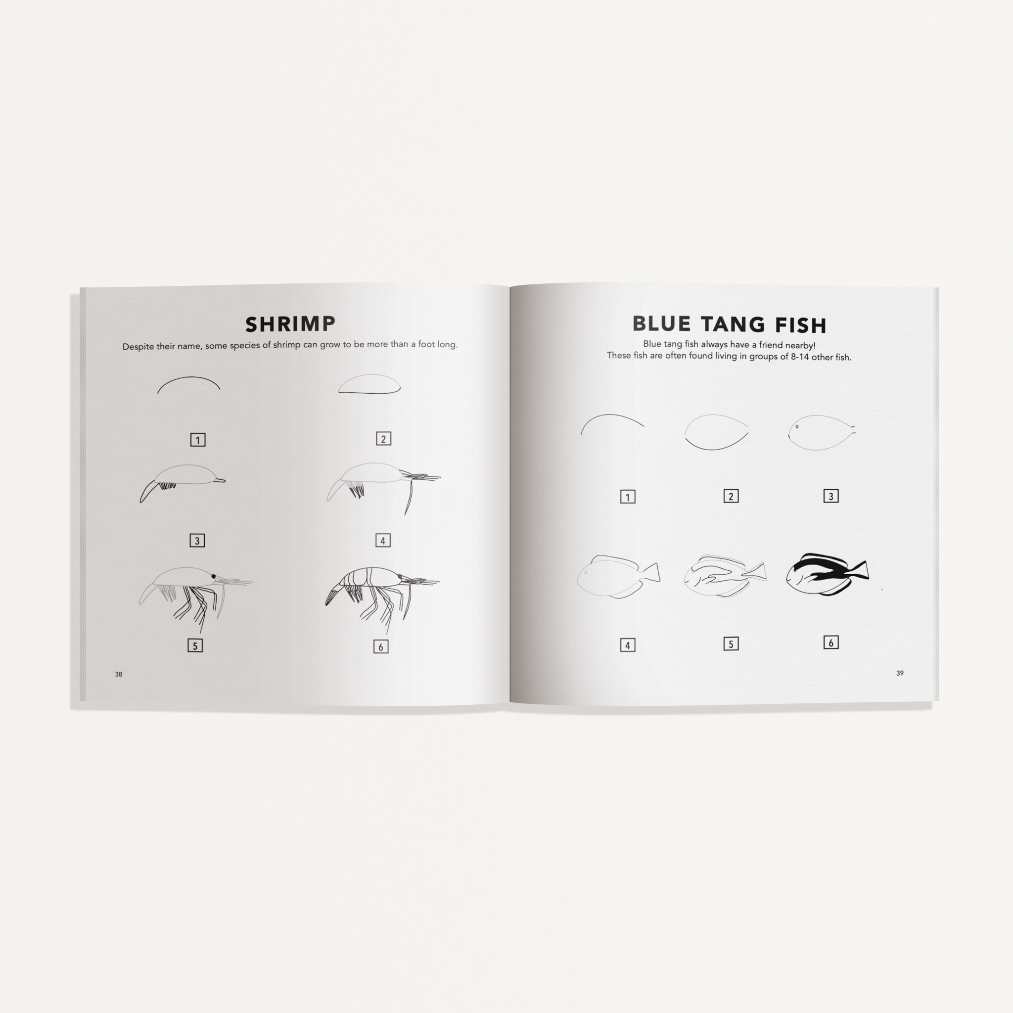 How to Draw Under the Sea for Kids (Mini) | Playroom Avenue